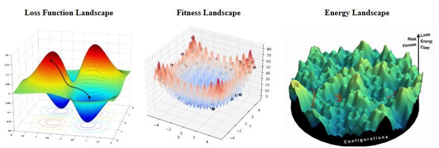 Optimization Landscape Visualization